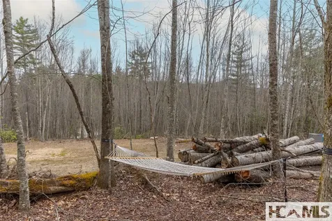 Tr A Fenley Forest Trail Cullowhee NC 28723