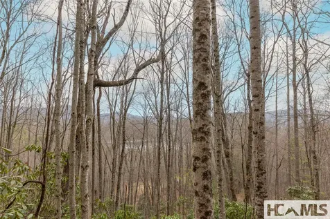 Tr A Fenley Forest Trail Cullowhee NC 28723