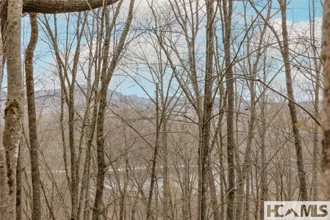 Tr A Fenley Forest Trail Cullowhee NC 28723