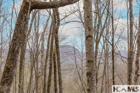 Tr A Fenley Forest Trail Cullowhee NC 28723