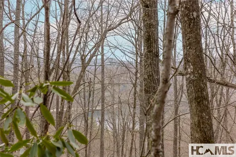 Tr A Fenley Forest Trail Cullowhee NC 28723