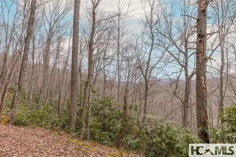 Tr A Fenley Forest Trail Cullowhee NC 28723