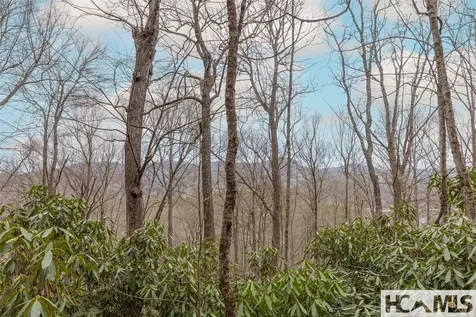 Tr A Fenley Forest Trail Cullowhee NC 28723