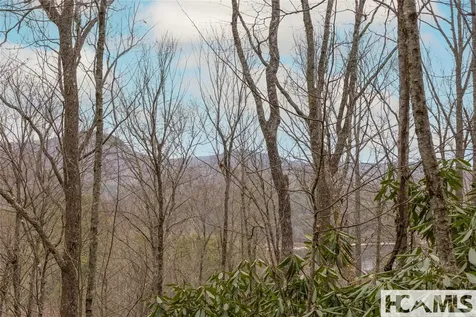 Tr A Fenley Forest Trail Cullowhee NC 28723