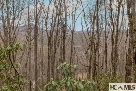 Tr A Fenley Forest Trail Cullowhee NC 28723