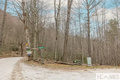 Tr A Fenley Forest Trail Cullowhee NC 28723