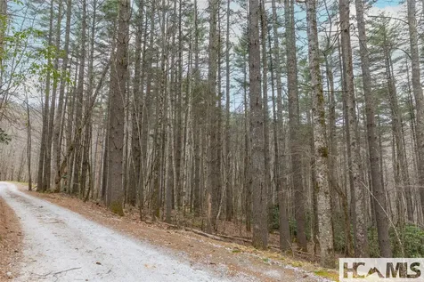 Tr A Fenley Forest Trail Cullowhee NC 28723