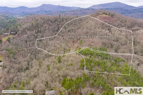 Tr A Fenley Forest Trail Cullowhee NC 28723