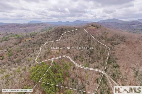 Tr A Fenley Forest Trail Cullowhee NC 28723