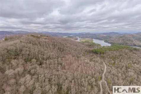 Tr A Fenley Forest Trail Cullowhee NC 28723