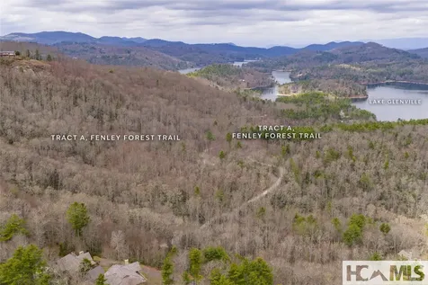 Tr A Fenley Forest Trail Cullowhee NC 28723