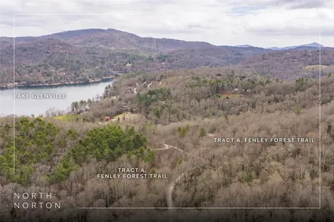 Tr A Fenley Forest Trail Cullowhee NC 28723