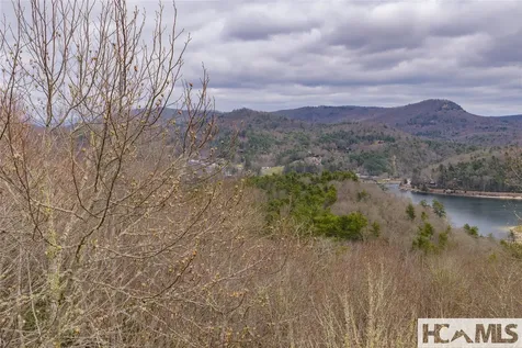 Tr A Fenley Forest Trail Cullowhee NC 28723