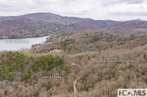 Tr A Fenley Forest Trail Cullowhee NC 28723