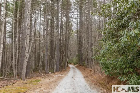 Tr A Fenley Forest Trail Cullowhee NC 28723