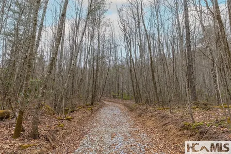 Tr A Fenley Forest Trail Cullowhee NC 28723
