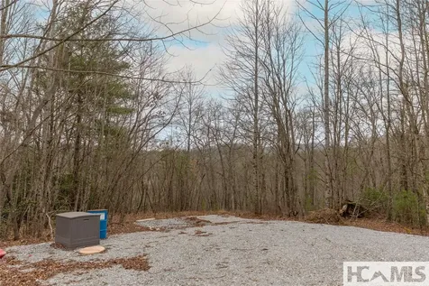 Tr A Fenley Forest Trail Cullowhee NC 28723