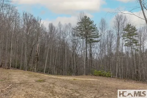 Tr A Fenley Forest Trail Cullowhee NC 28723