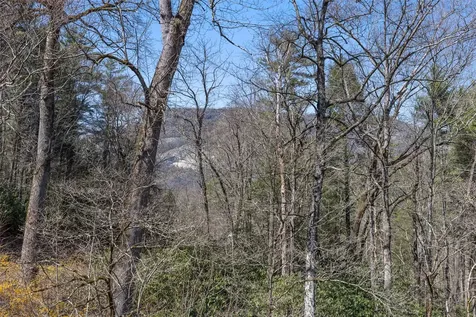 4411 Whiteside Cove Road Highlands NC 28741