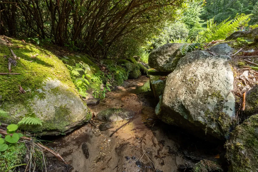 241 Indian Pipe Road Cashiers NC 28717