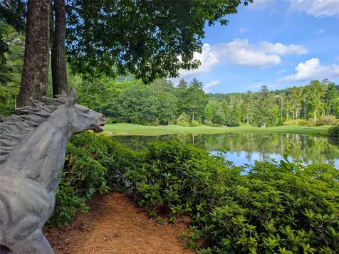 241 Indian Pipe Road Cashiers NC 28717