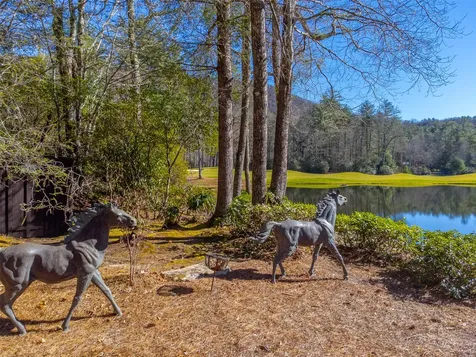 241 Indian Pipe Road Cashiers NC 28717