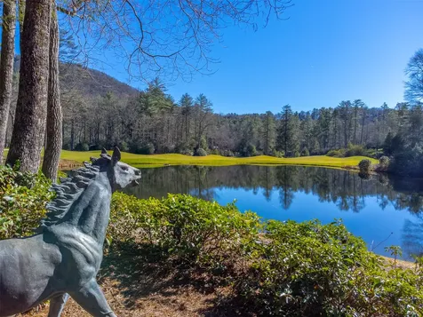241 Indian Pipe Road Cashiers NC 28717