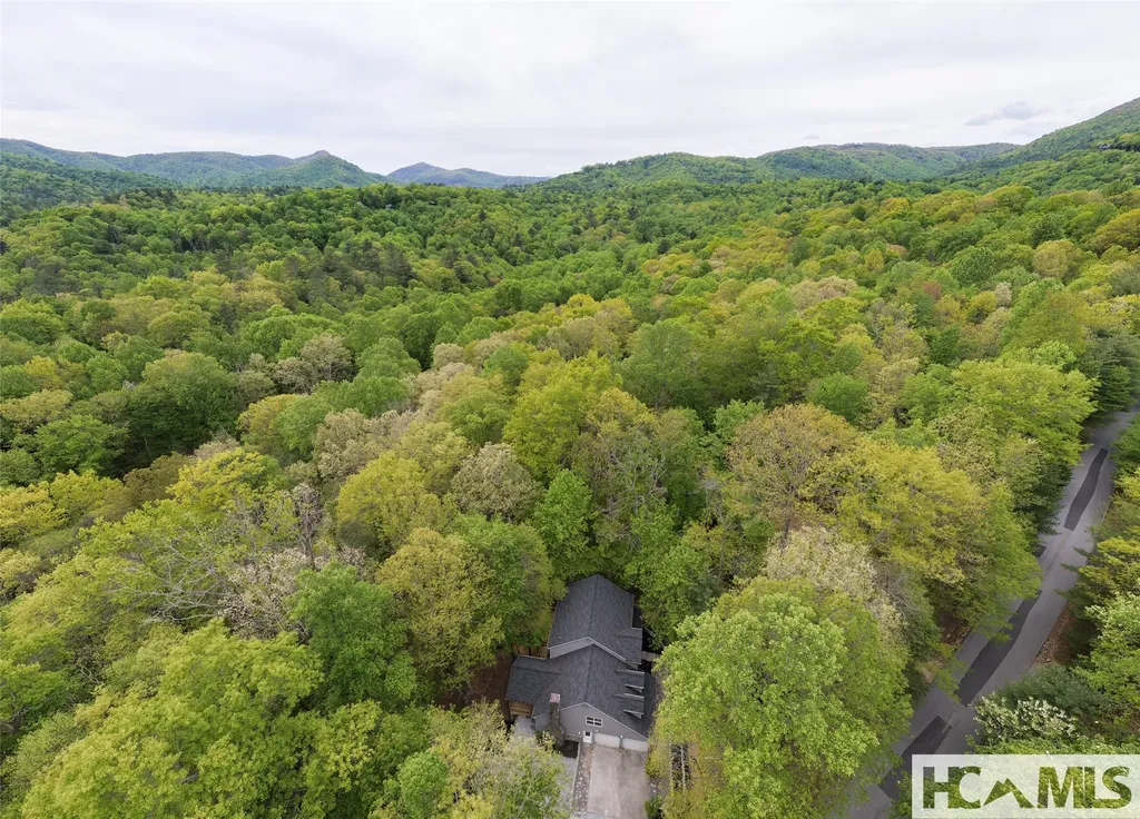 2129 Black Oak Drive Sapphire NC 28774