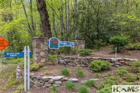 2129 Black Oak Drive Sapphire NC 28774