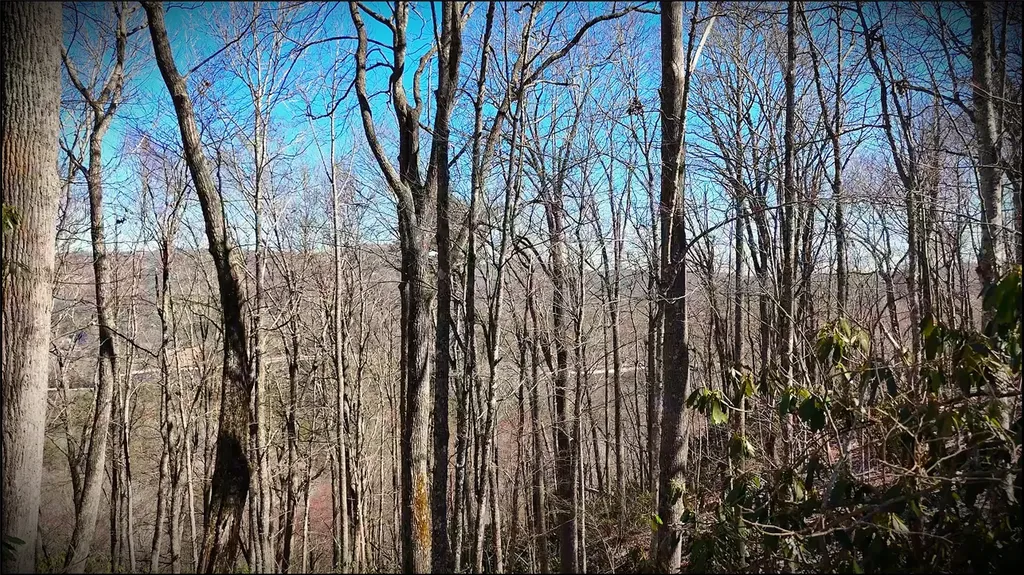 20 Bright Mountain Road Cullowhee NC 28723