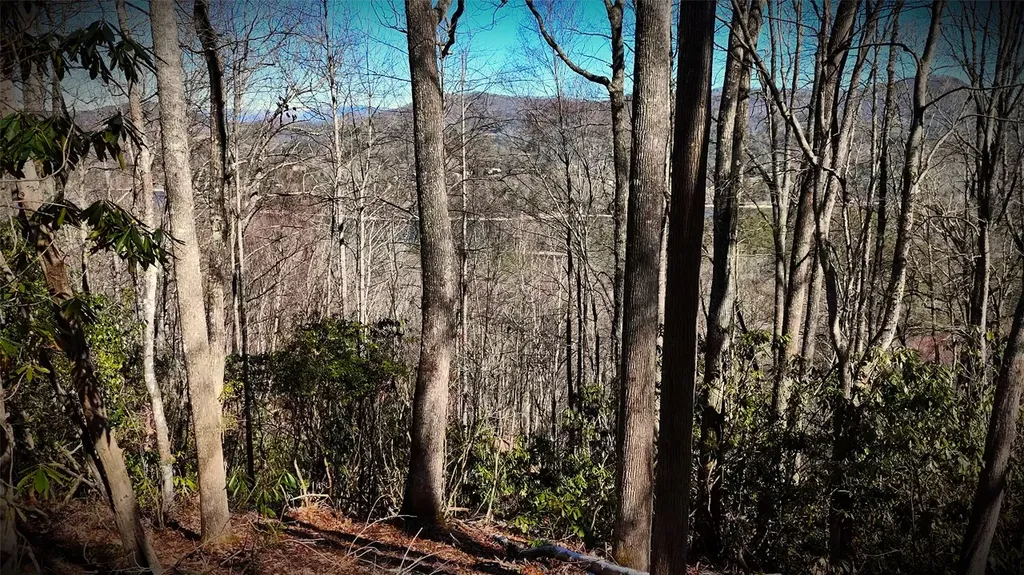 20 Bright Mountain Road Cullowhee NC 28723