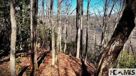 20 Bright Mountain Road Cullowhee NC 28723
