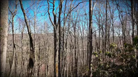 20 Bright Mountain Road Cullowhee NC 28723