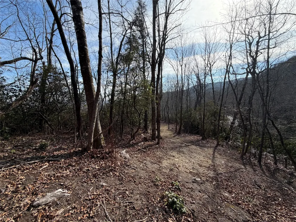 MR51 Meadow Ridge Drive Lake Toxaway NC 28747