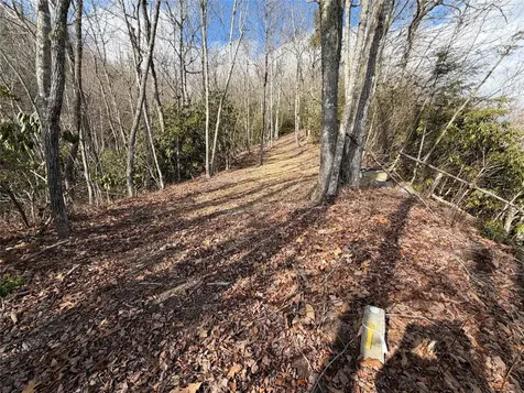 MR51 Meadow Ridge Drive Lake Toxaway NC 28747