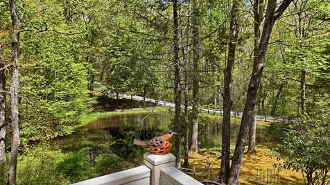 60 Big Woods Road Glenville NC 28736