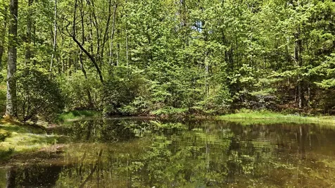 60 Big Woods Road Glenville NC 28736