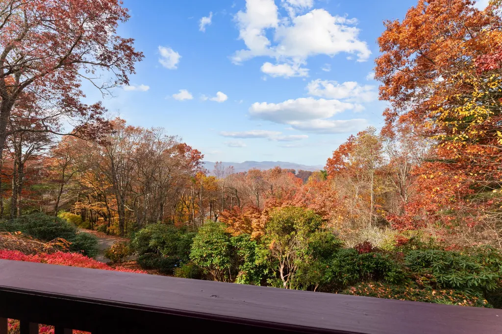 79 Alex Mountain Drive Sky Valley GA 30537