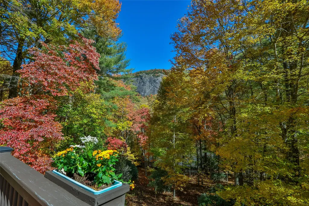 533 Woodward Trail Sapphire NC 28774