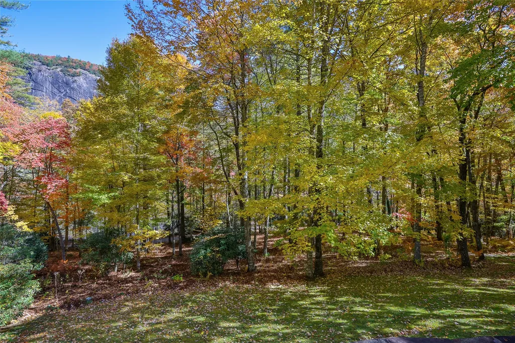 533 Woodward Trail Sapphire NC 28774