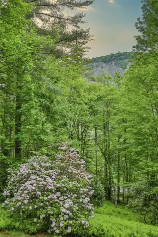 533 Woodward Trail Sapphire NC 28774