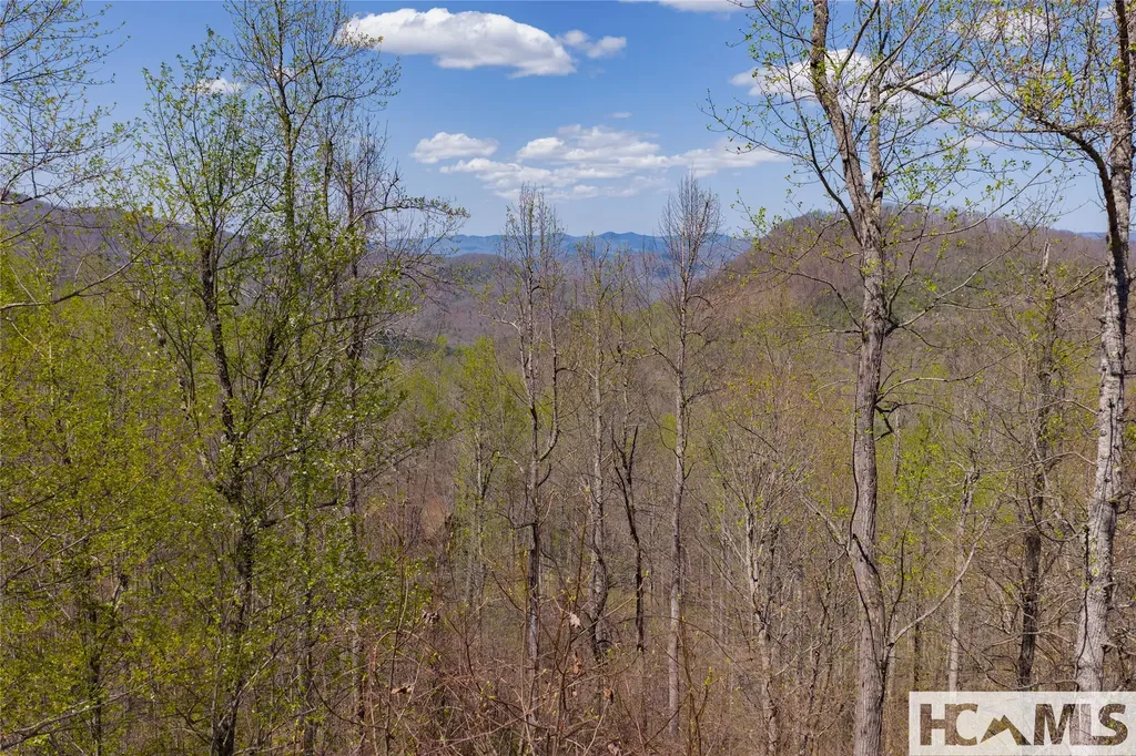 Lot 57 Sims Valley Glenville NC 28736