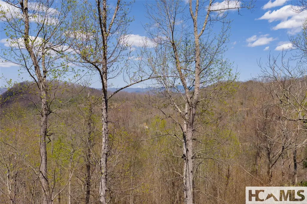 Lot 57 Sims Valley Glenville NC 28736