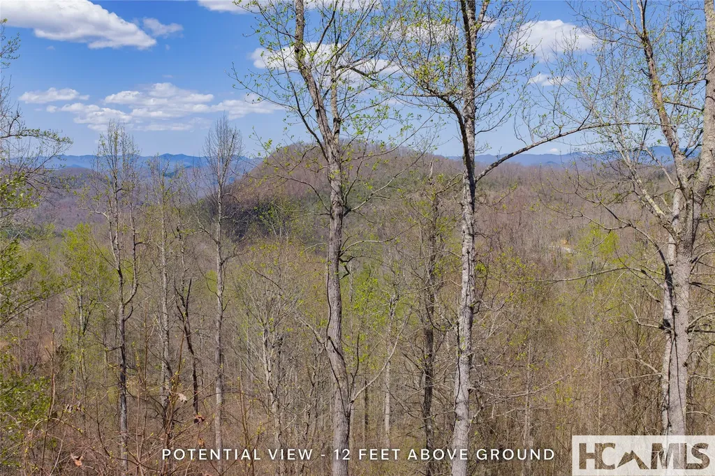 Lot 57 Sims Valley Glenville NC 28736