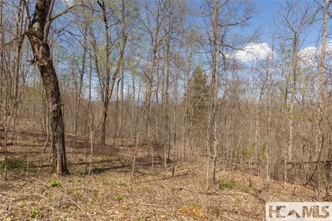 Lot 57 Sims Valley Glenville NC 28736