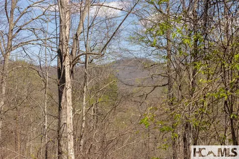 Lot 57 Sims Valley Glenville NC 28736