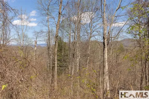 Lot 57 Sims Valley Glenville NC 28736