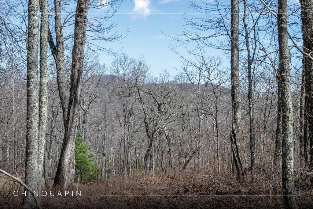Lot 63 New Settler's Way Glenville NC 28736