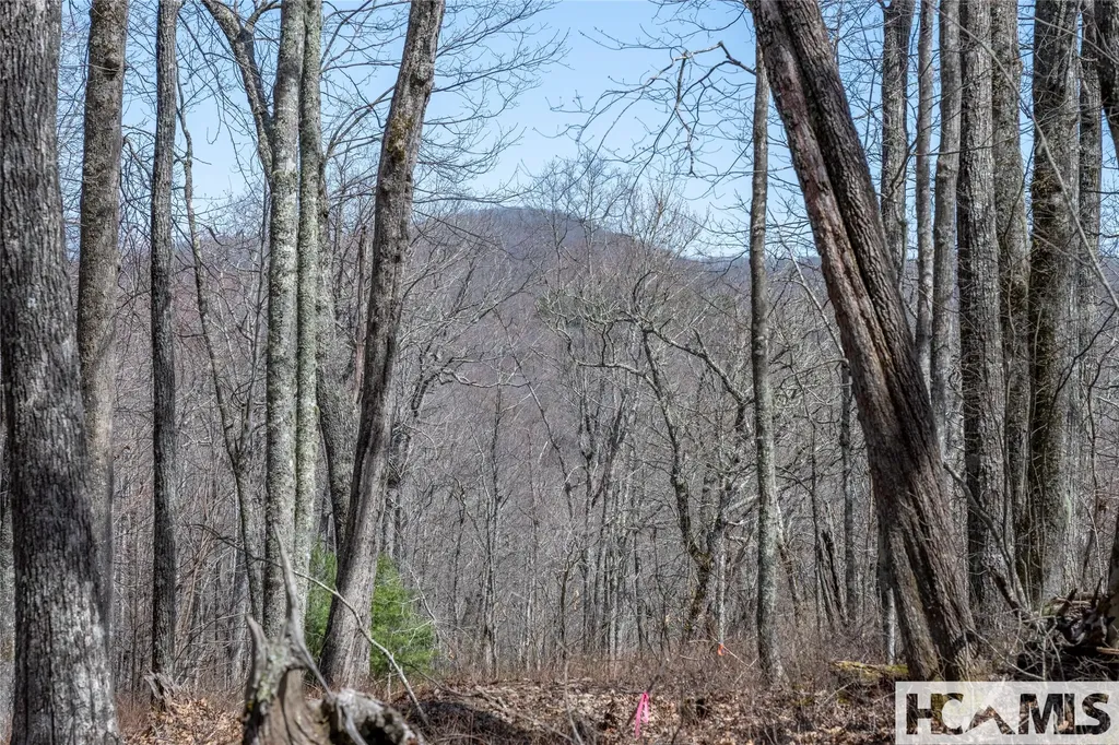 Lot 63 New Settler's Way Glenville NC 28736
