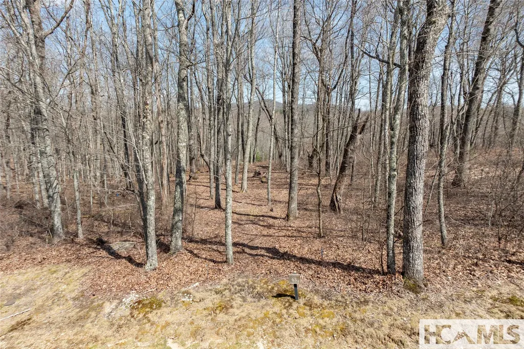 Lot 63 New Settler's Way Glenville NC 28736